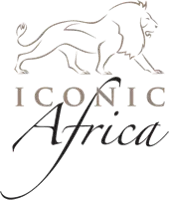 Iconic Africa Coupon Code