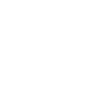 Paisley Tiger Coupon Code