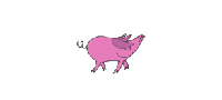 Piglets Pantry Coupon Code