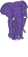 Purple Elephant Apparel Coupon Code