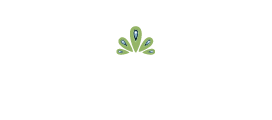 Rae Peacock Hair Coupon Code
