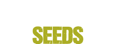Zambeza Seeds Coupon Code